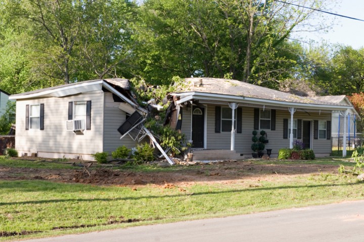 Storm Damage by Clean Up Kings Inc.