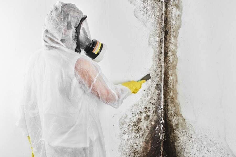 Mold Remediation by Clean Up Kings Inc.