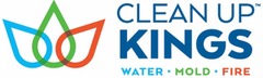 Clean Up Kings Inc.